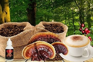 Te Latte CaféElixir de Ganoderma lucidum (REISHI)