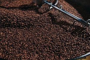 Te Latte Café - Te latte Cafe Mocca Con Ganoderma Lucidum